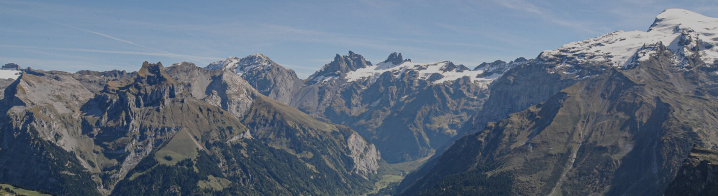 Alpenresort Startseite Banner